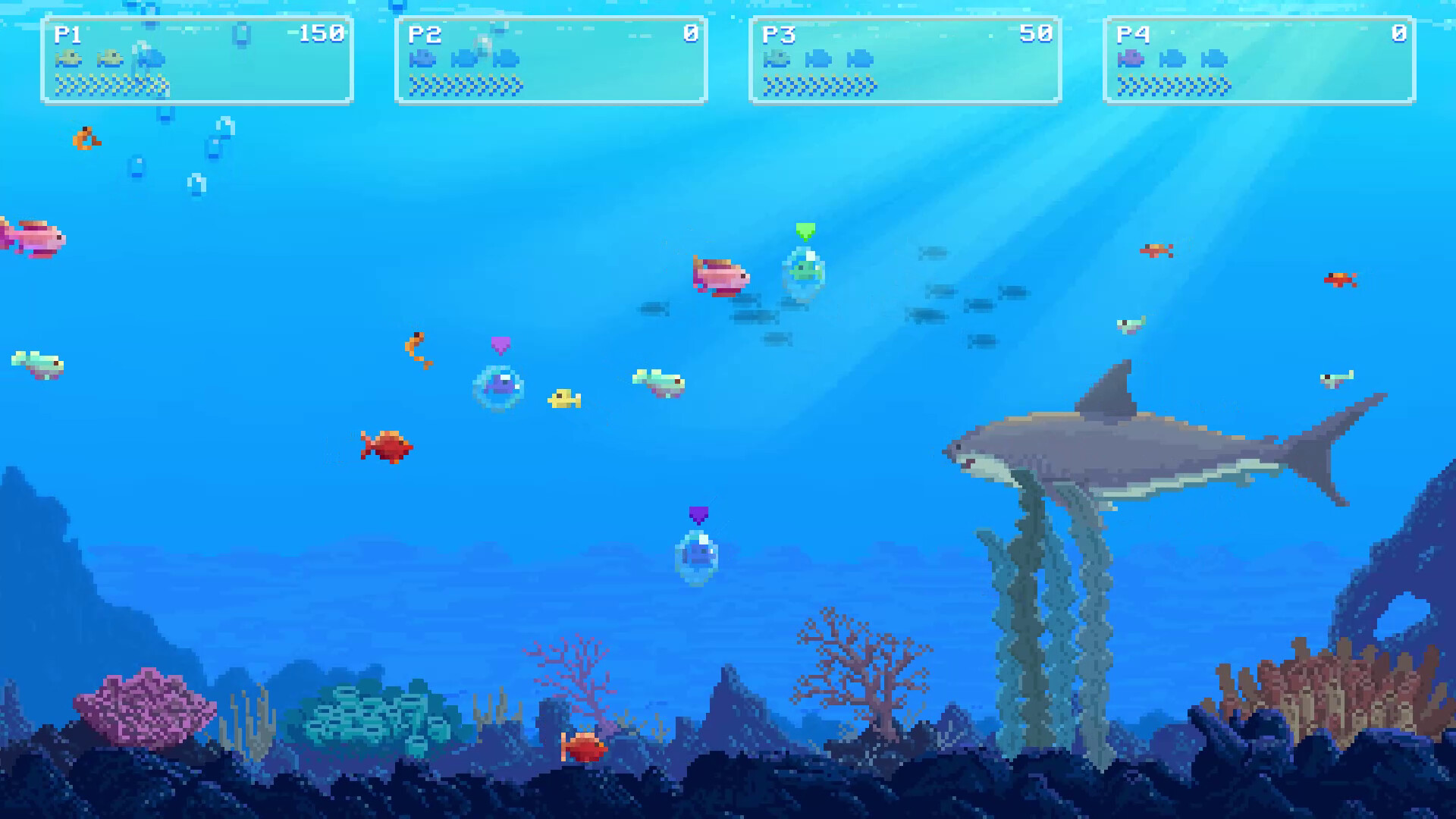 Watch Out: Shark!