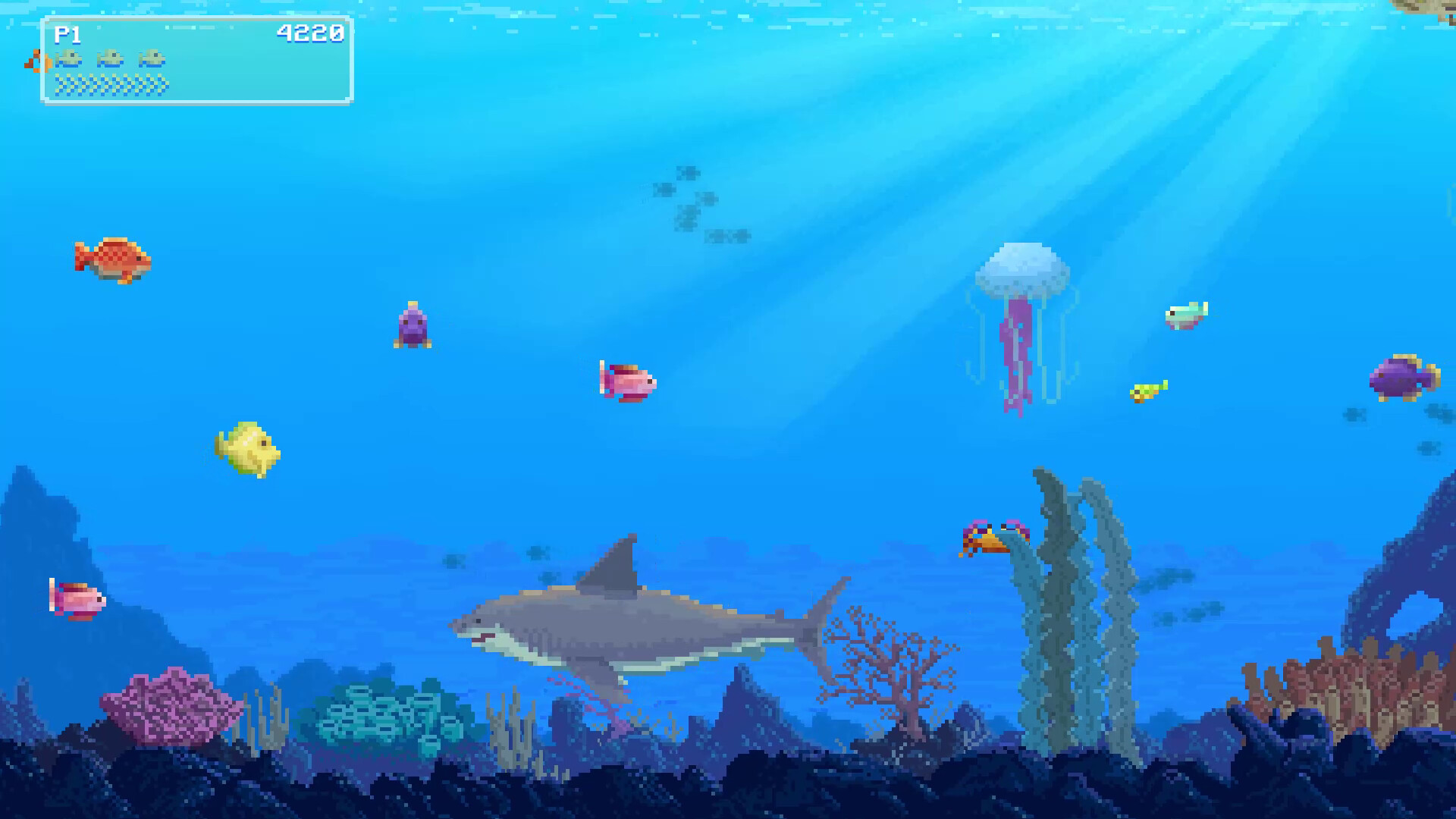 Watch Out: Shark!