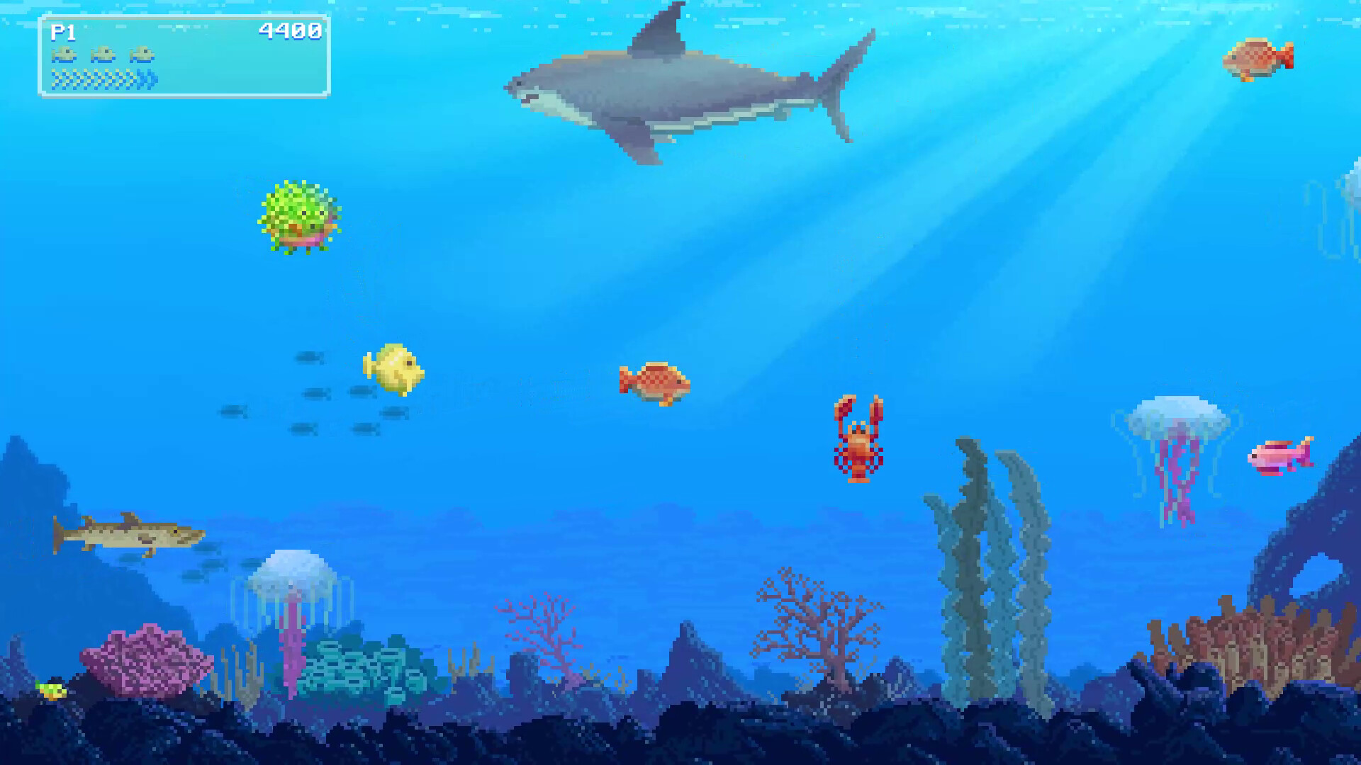 Watch Out: Shark!