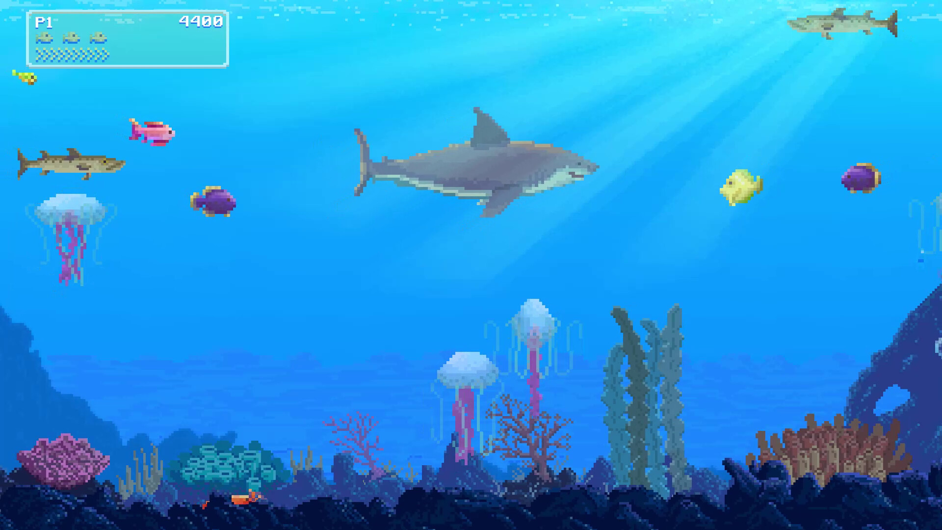 Watch Out: Shark!