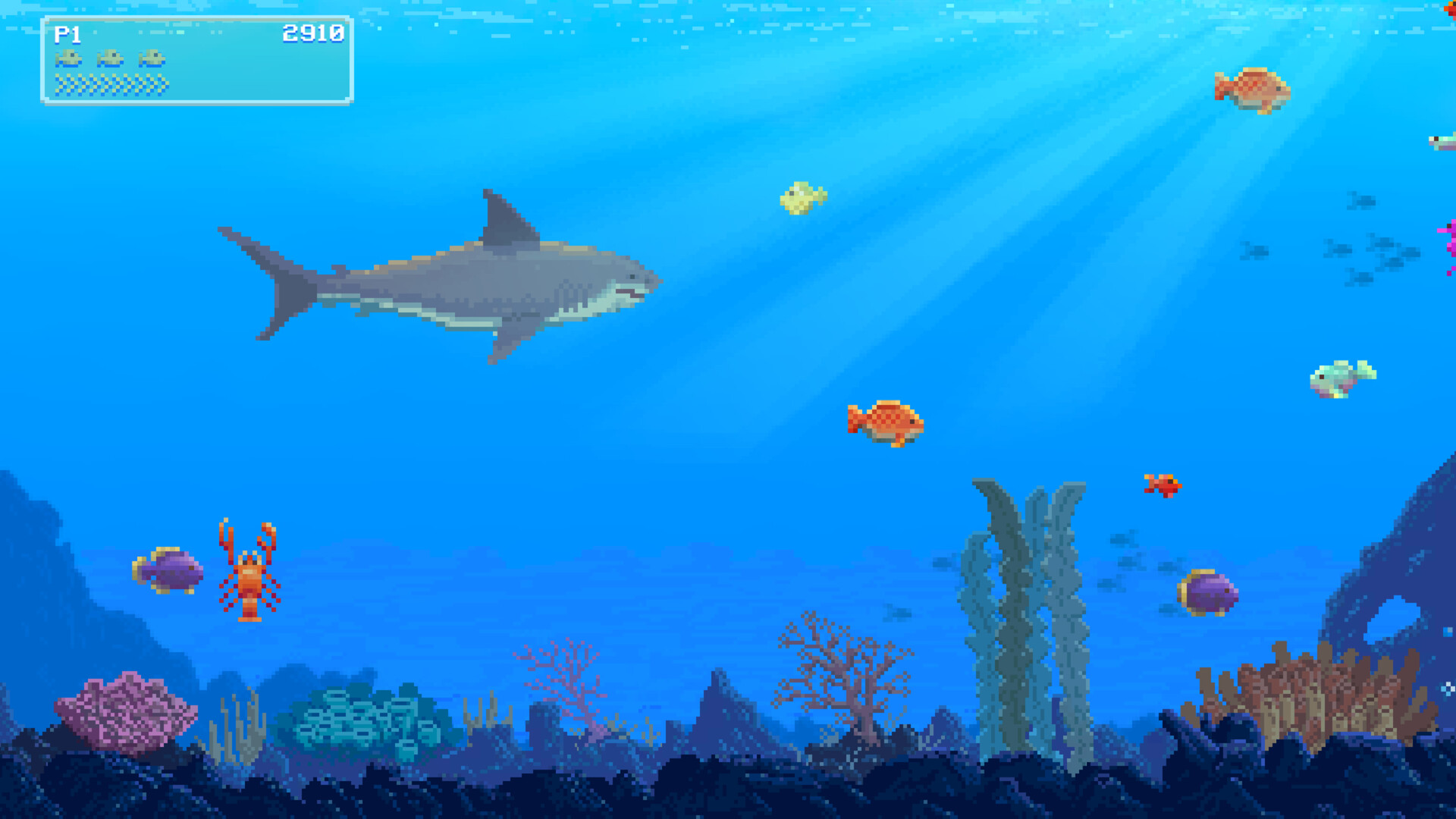 Watch Out: Shark!