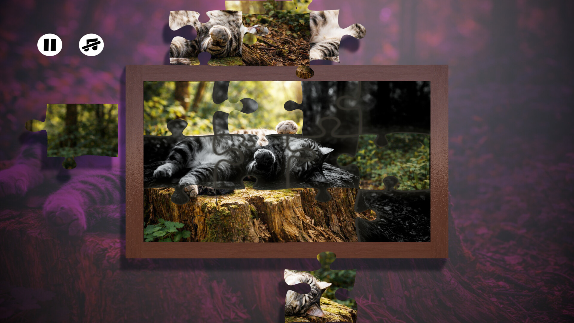 Puzzles