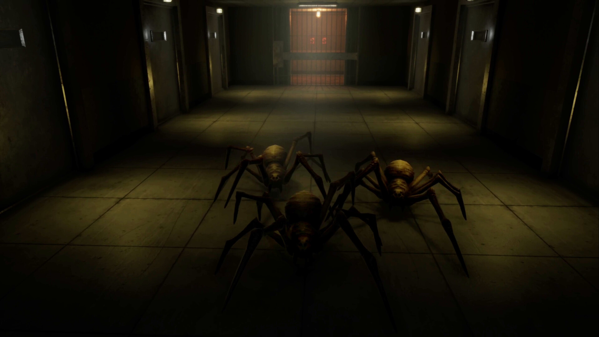 Prison Anomaly