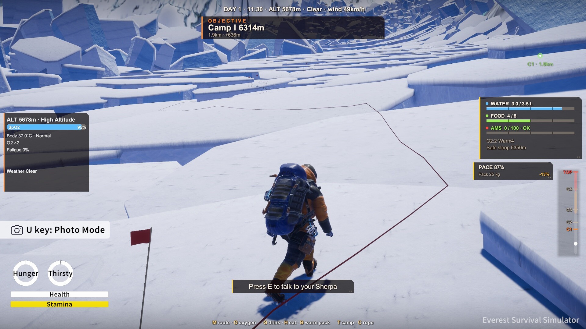 Everest: Survival Simulator