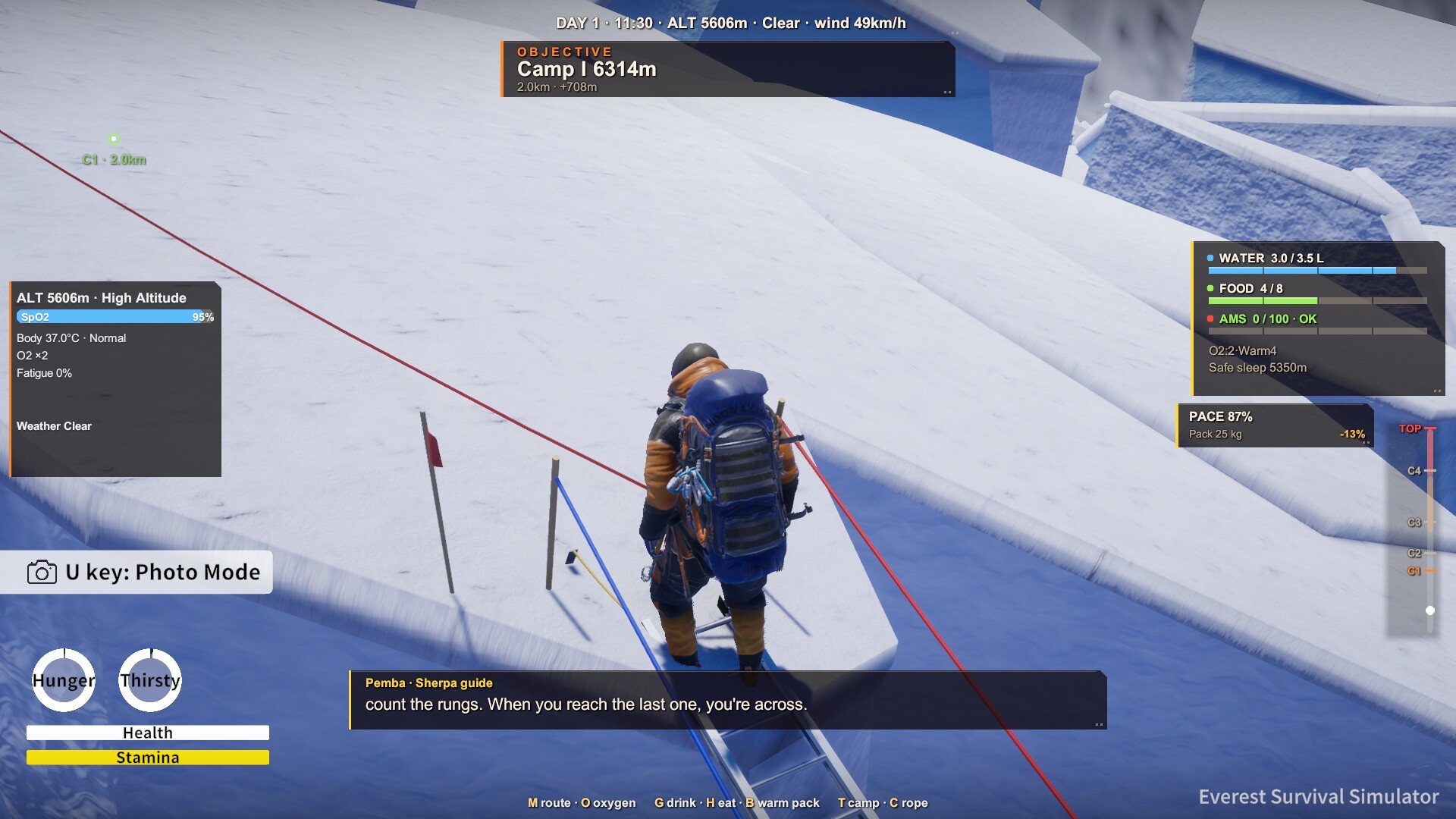 Everest: Survival Simulator