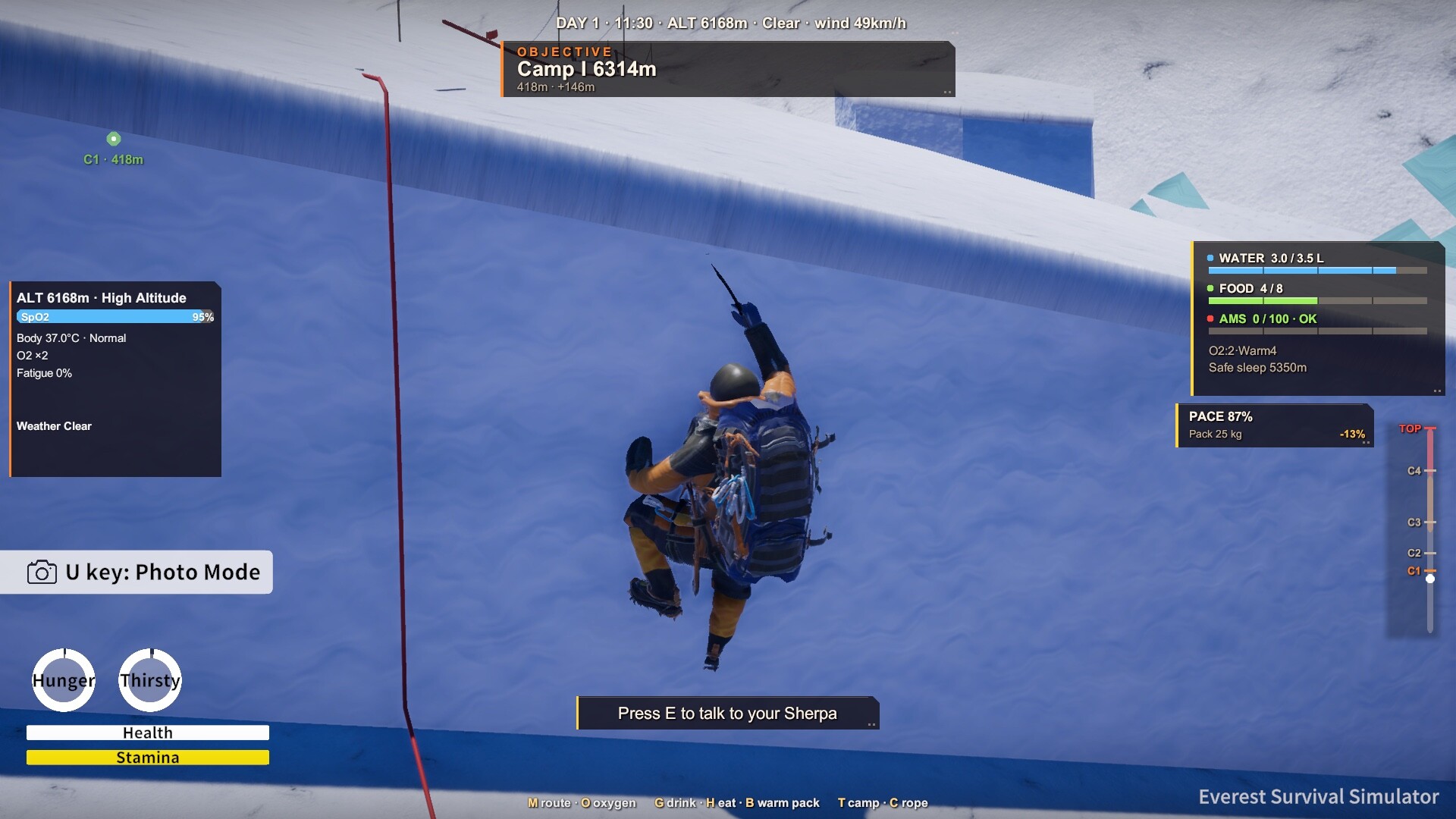 Everest: Survival Simulator