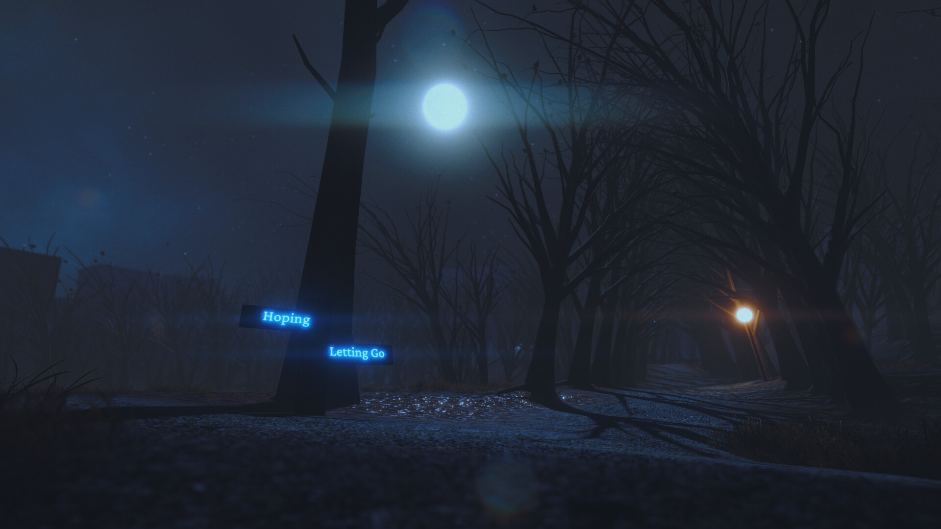 The Night Walk