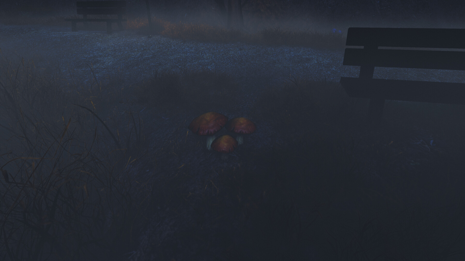 The Night Walk