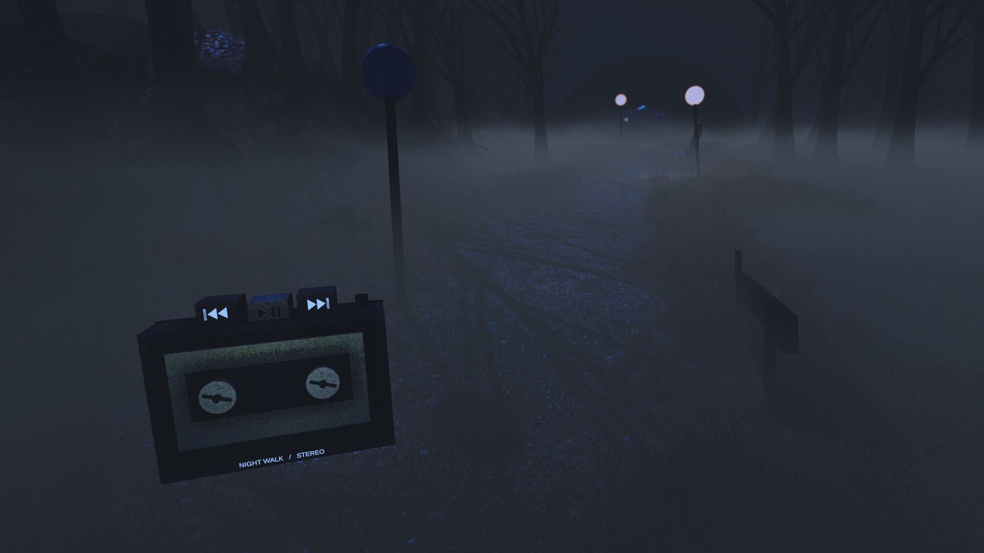 The Night Walk