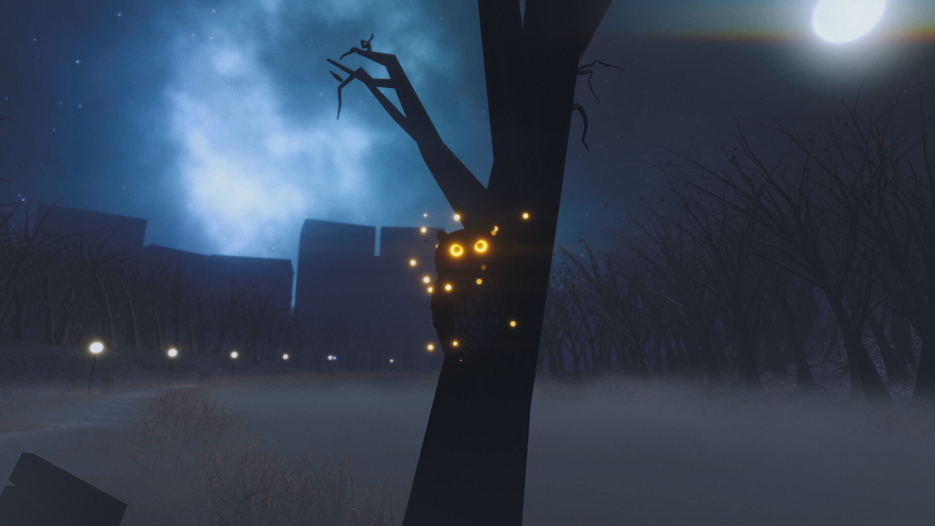 The Night Walk