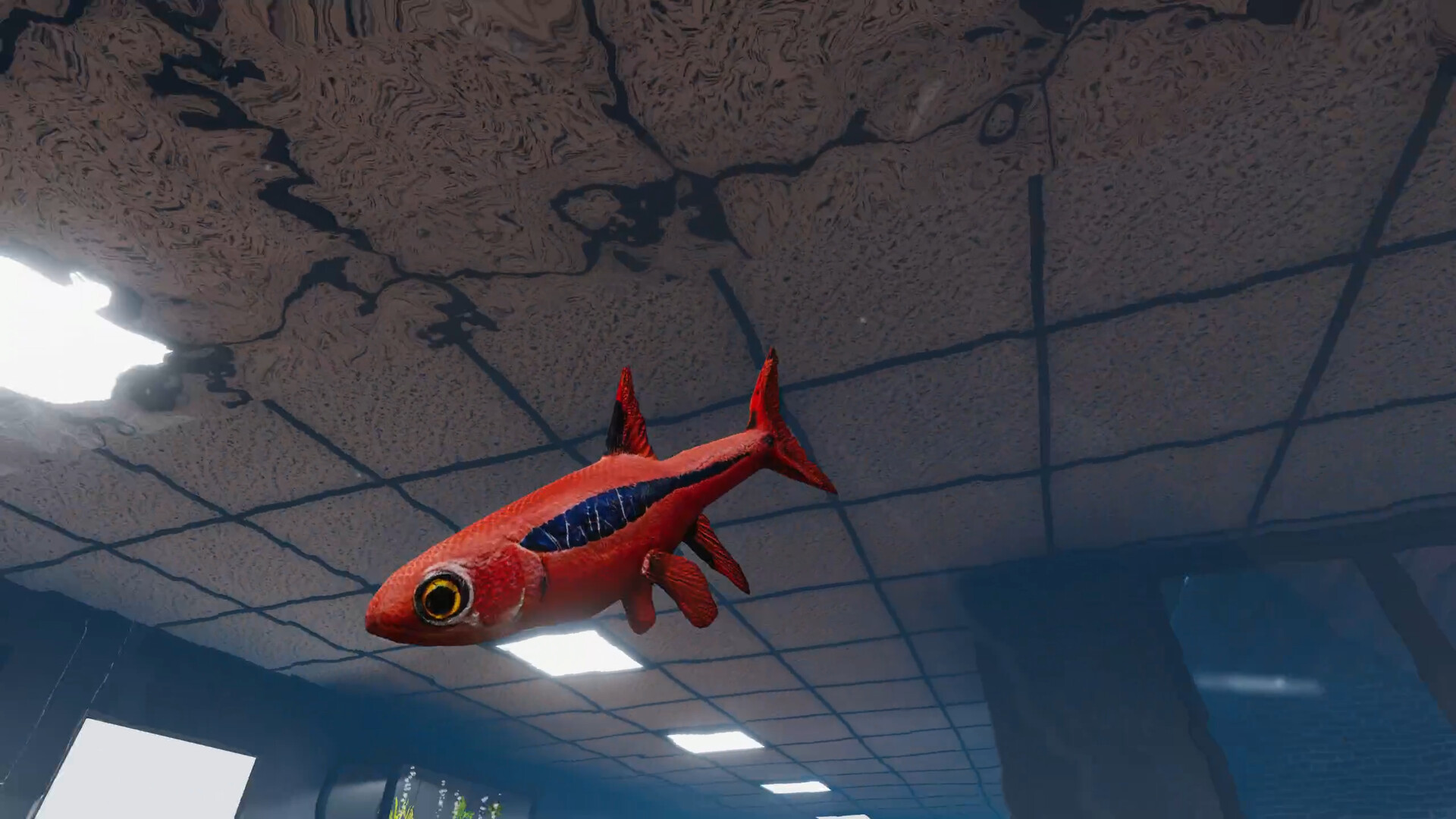 Aquarist: Asian Fish DLC