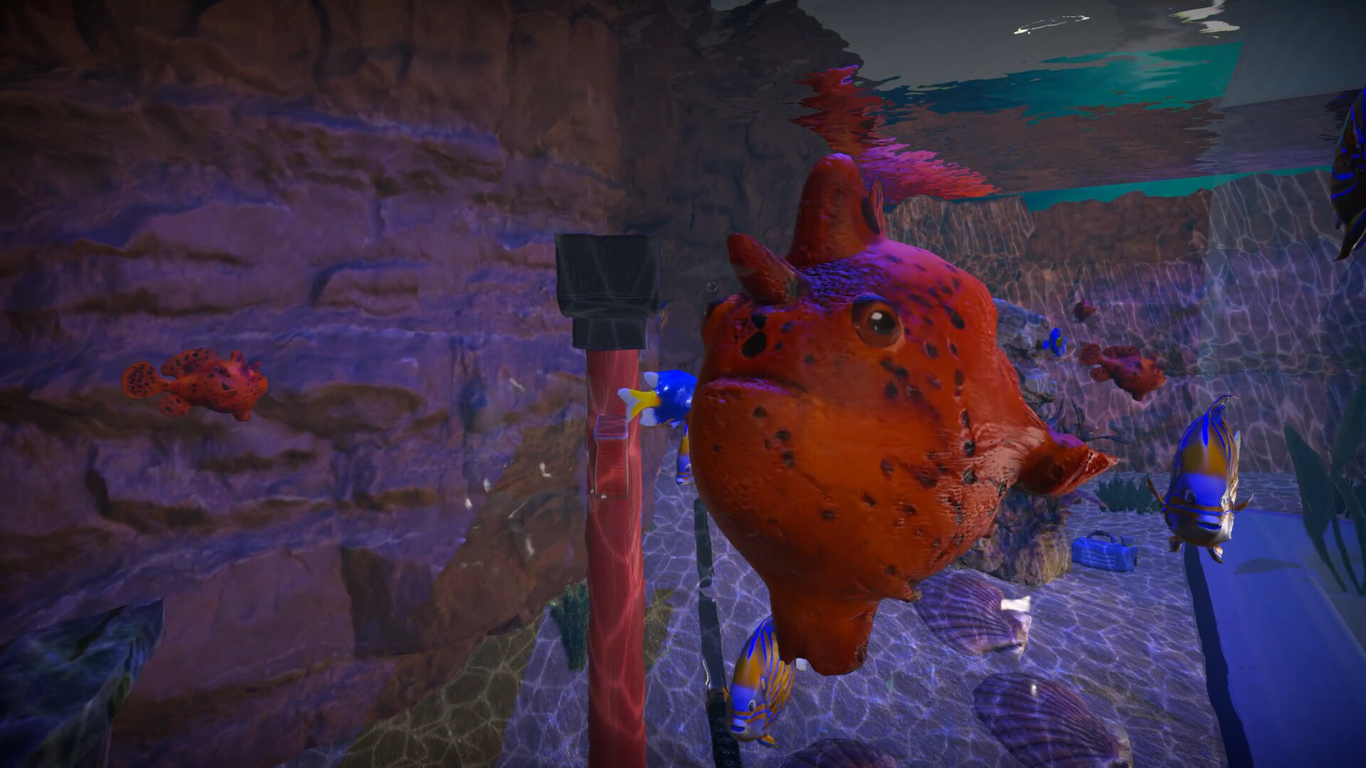 Aquarist: Asian Fish DLC