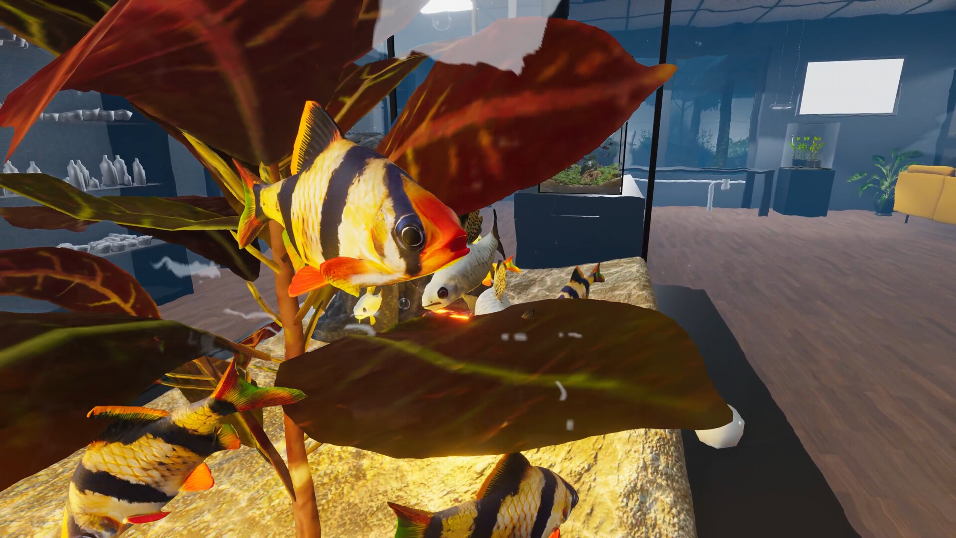 Aquarist: Asian Fish DLC