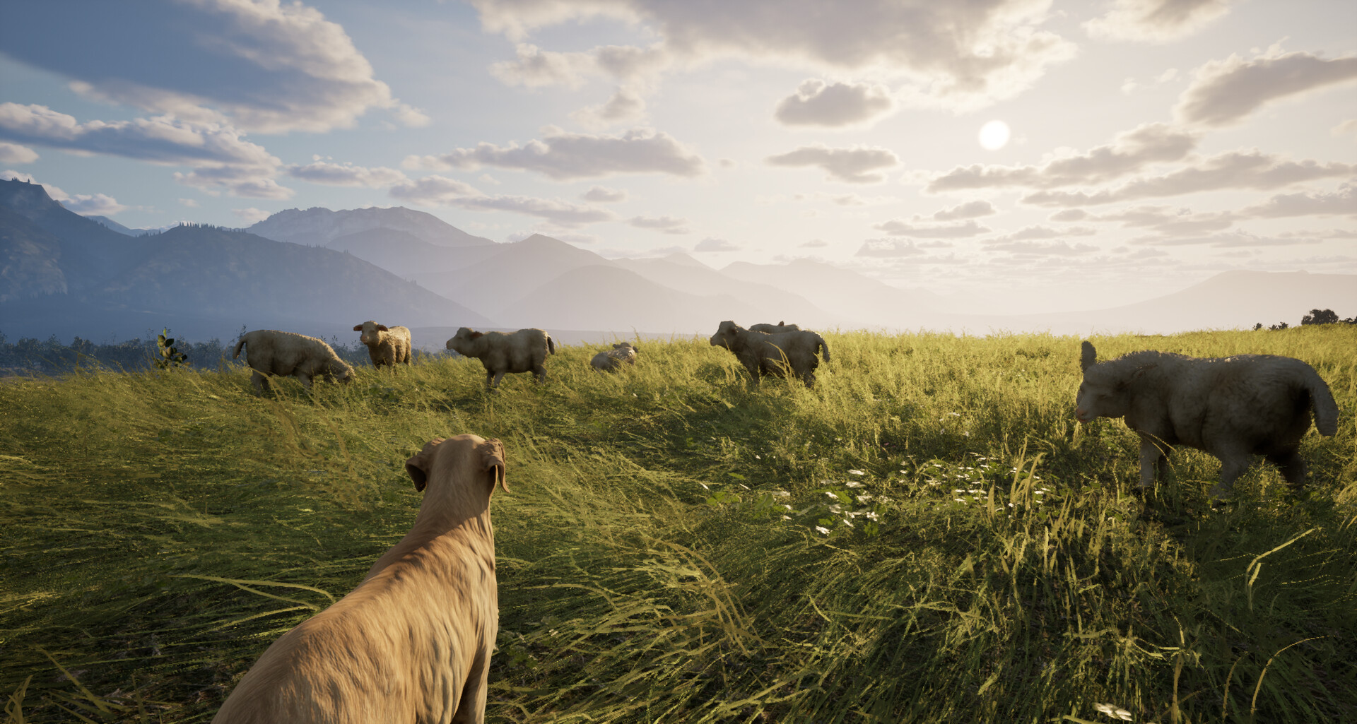 Goral: Highlander Simulator