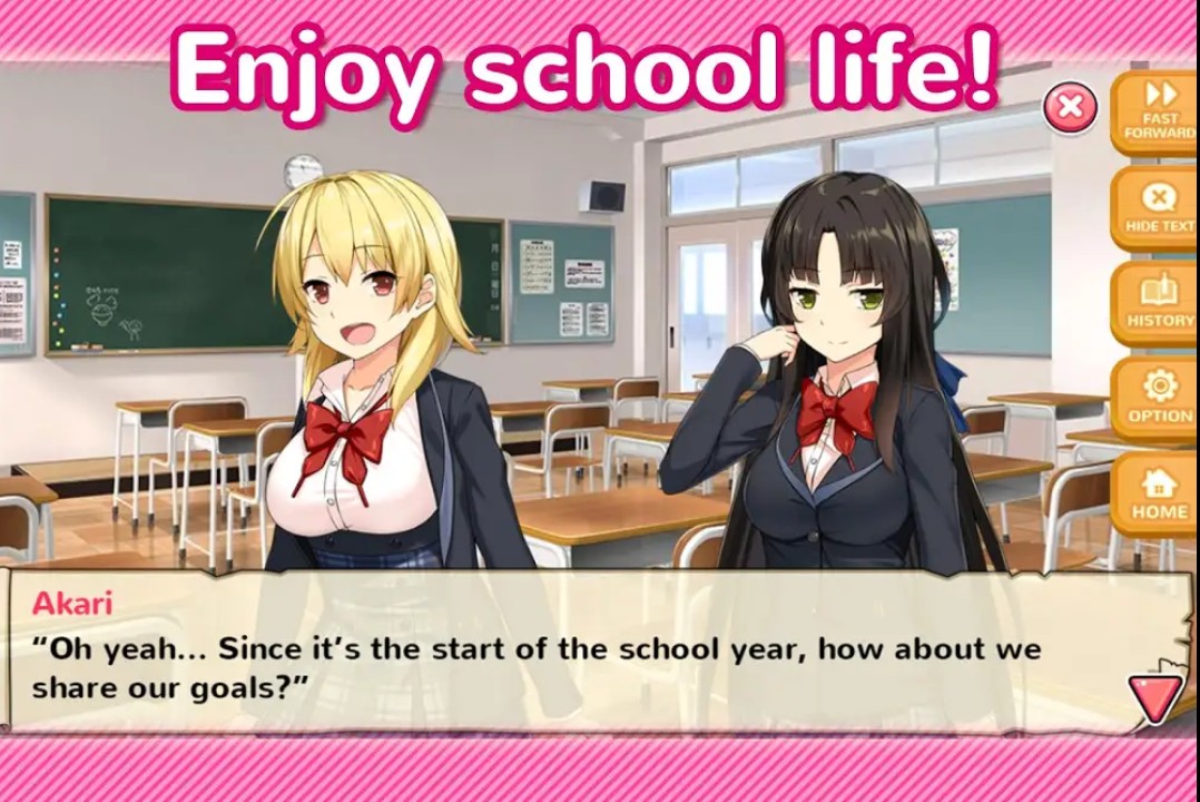 Moe! Ninja Girls