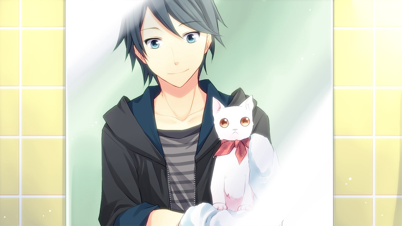 Kitty Love -Way to look for love-