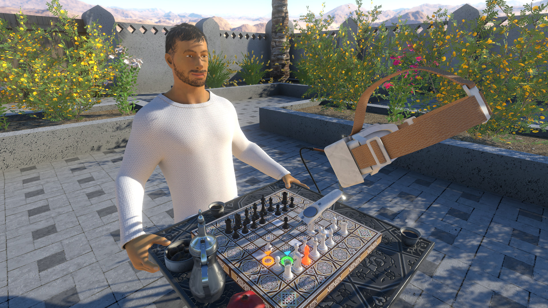 Backgammon, Chess &amp; Checkers