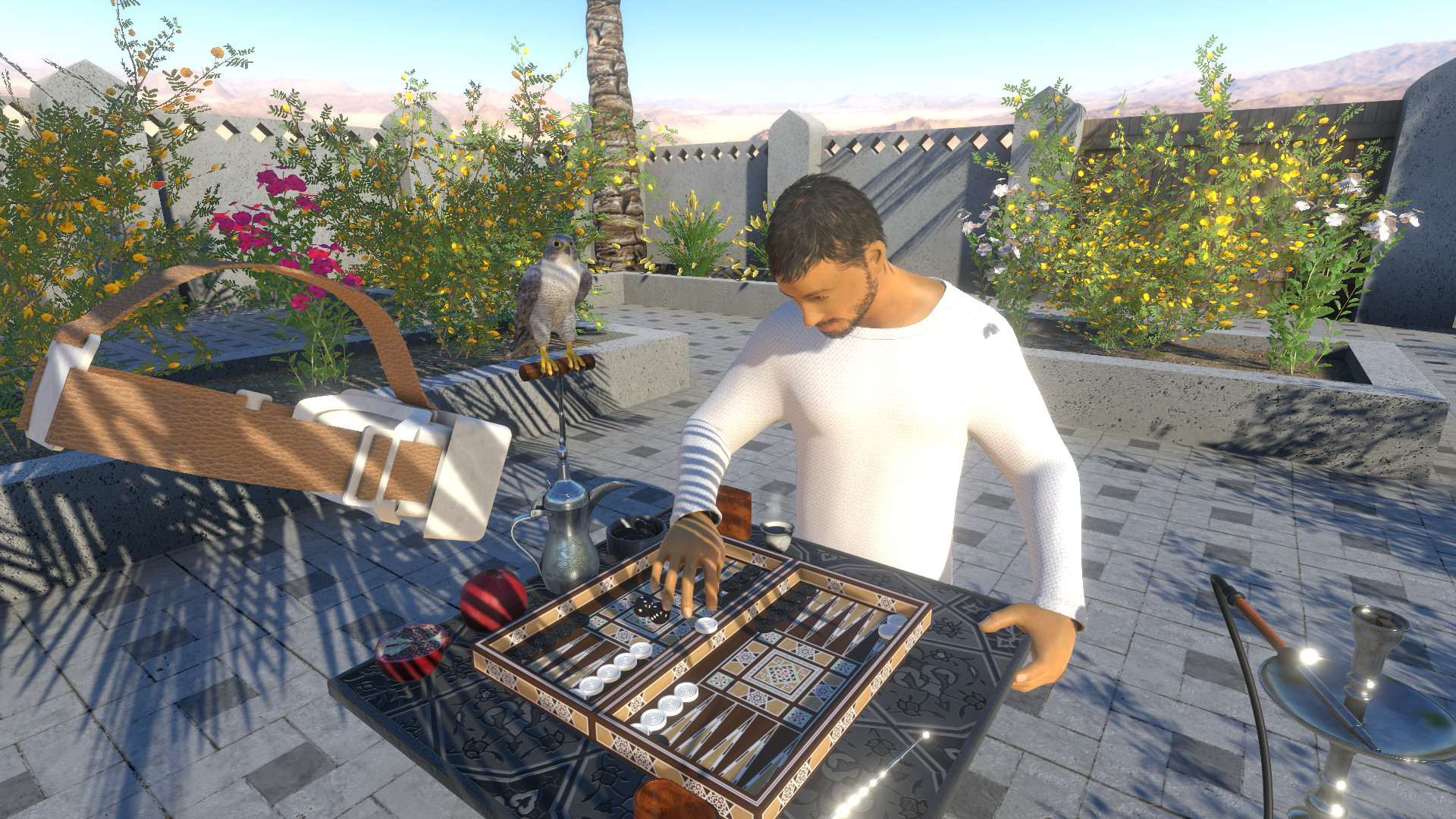 Backgammon, Chess &amp; Checkers