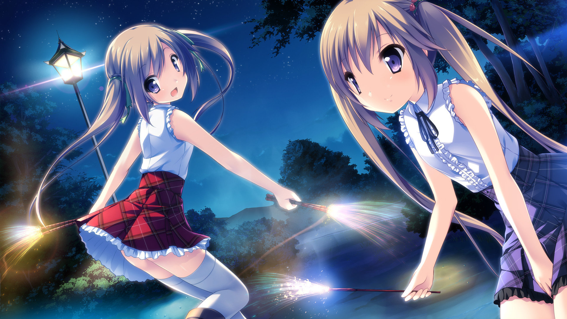 If My Heart Had Wings: Flight Diary