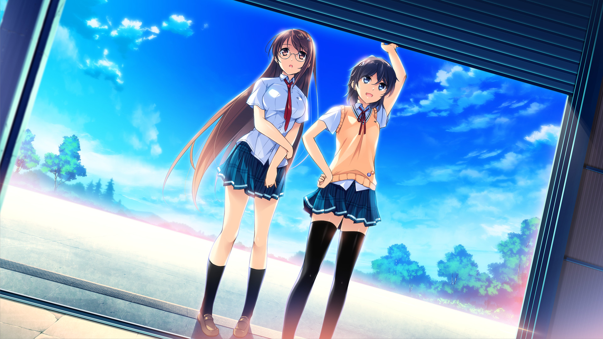 If My Heart Had Wings: Flight Diary