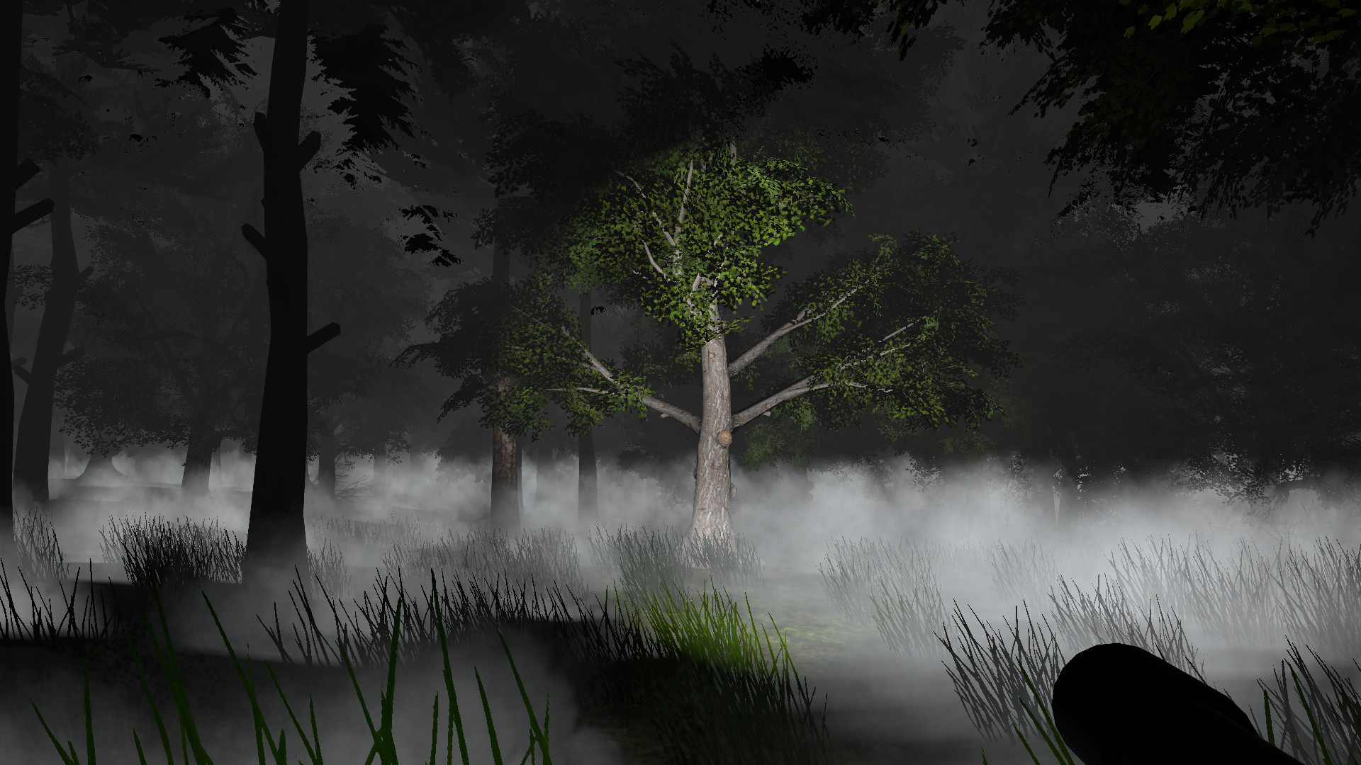 Go Outside Simulator