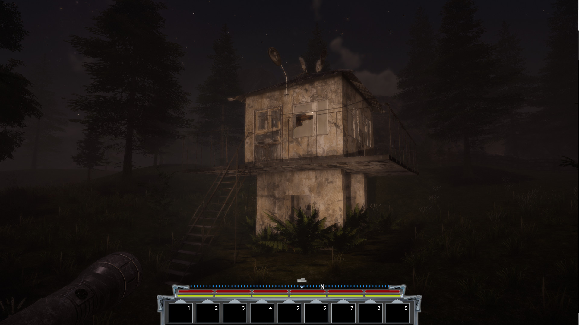 Night Fallen