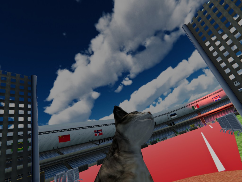 Swing the cat