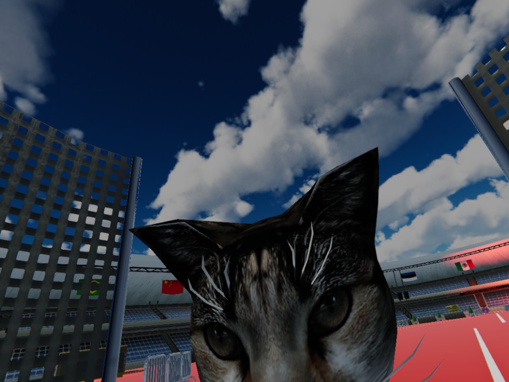 Swing the cat