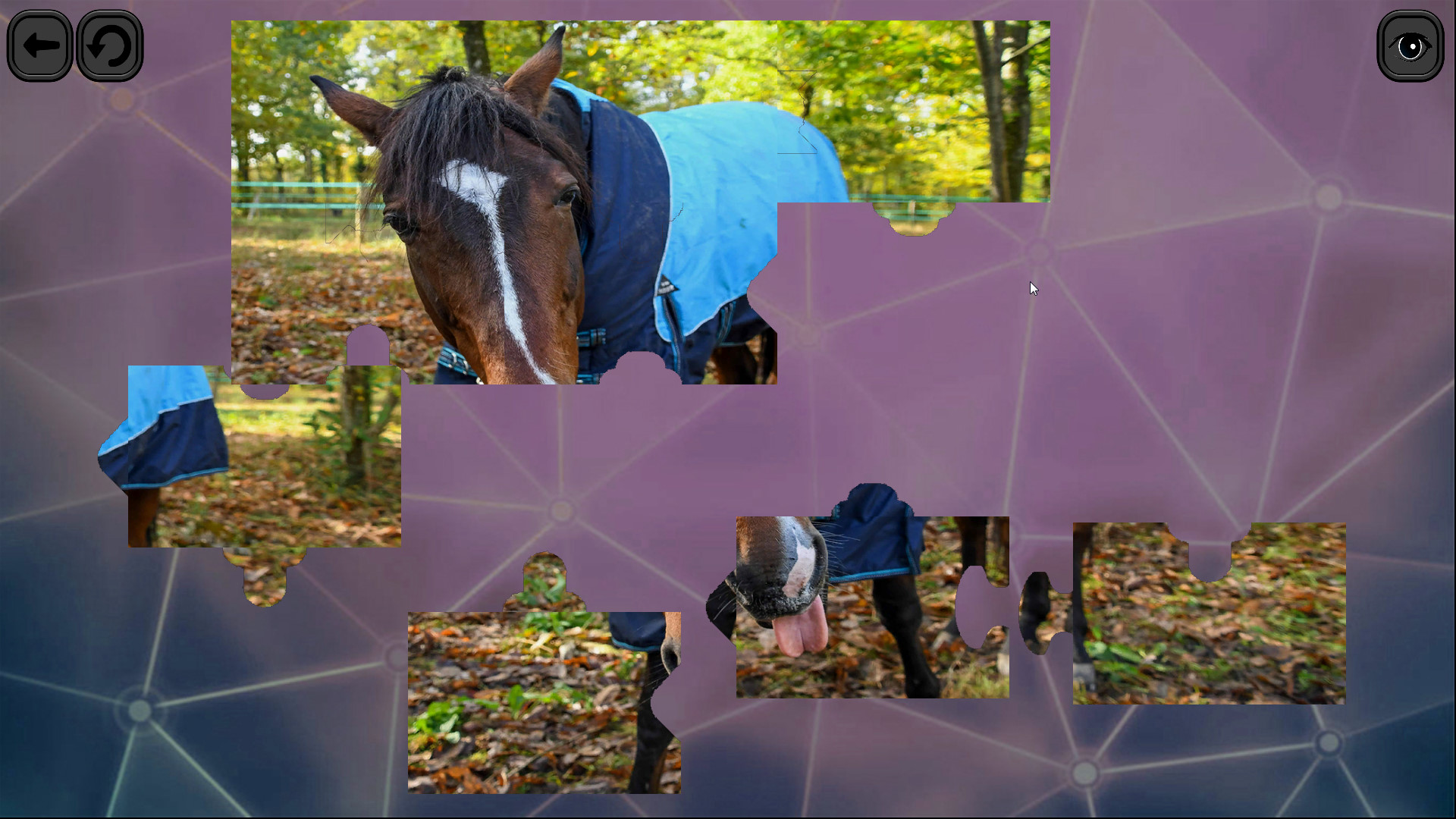 Puzzles for smart: Horses