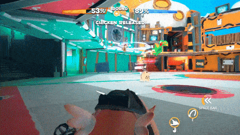 Super Chicken Catchers