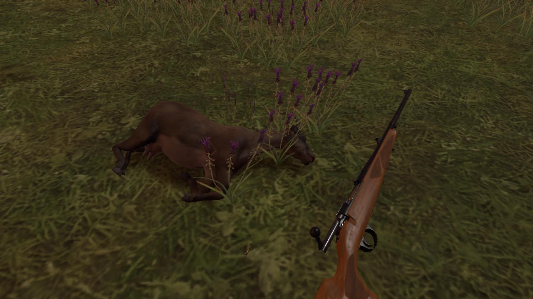 Hunting Simulator VR