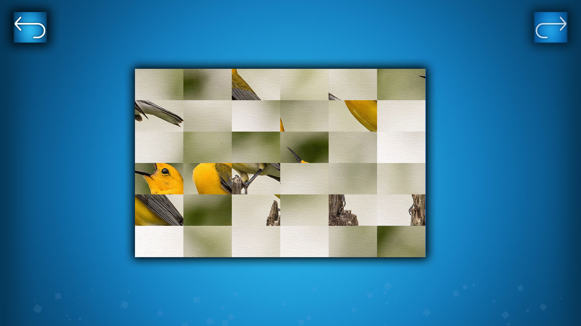 Puzzle: Birds