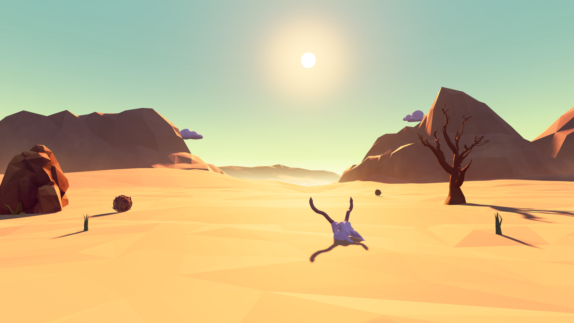 Self-knowledge VR