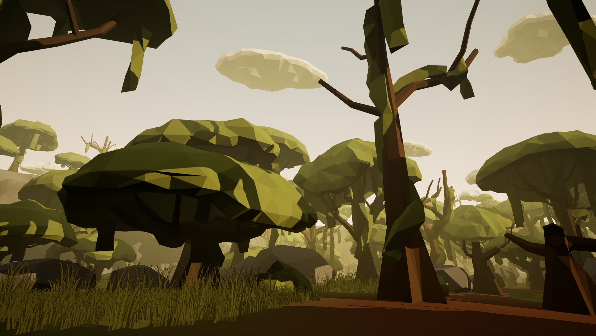 Self-knowledge VR