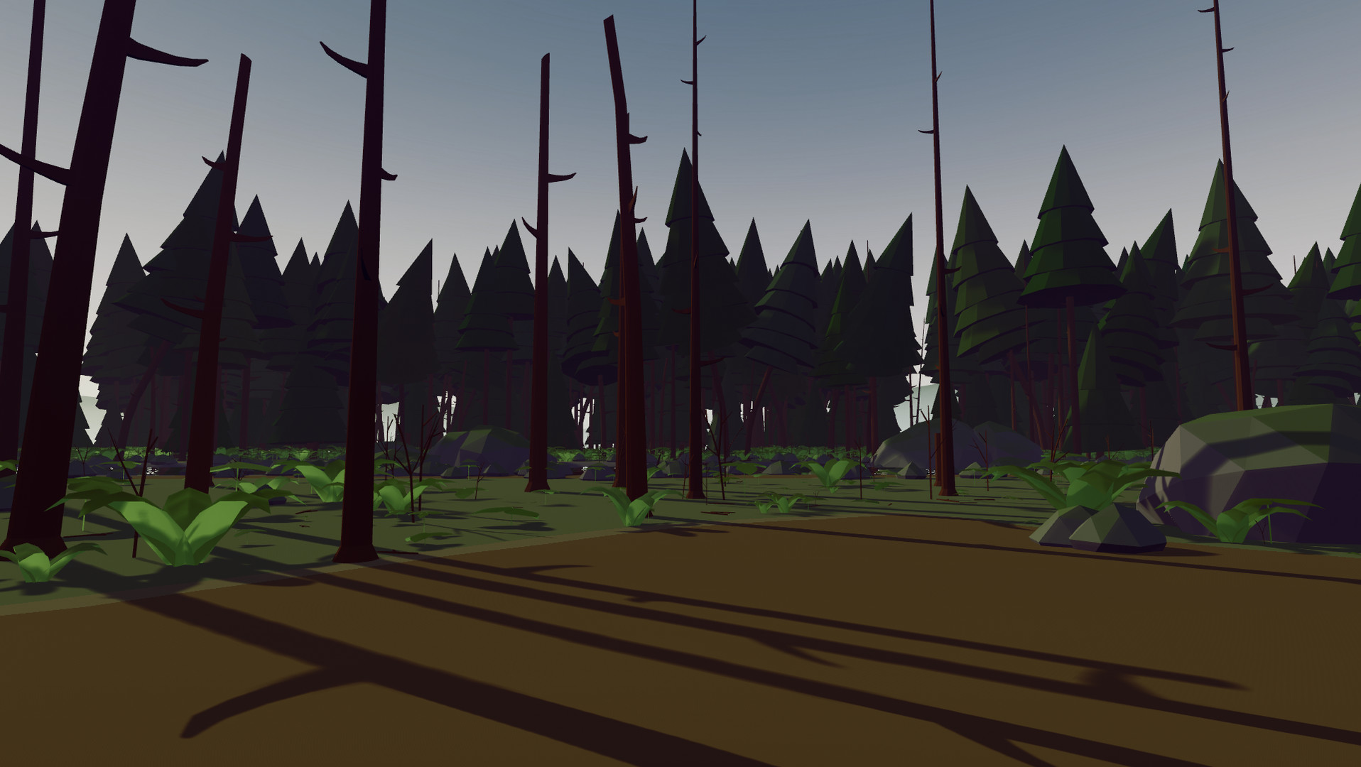 Self-knowledge VR