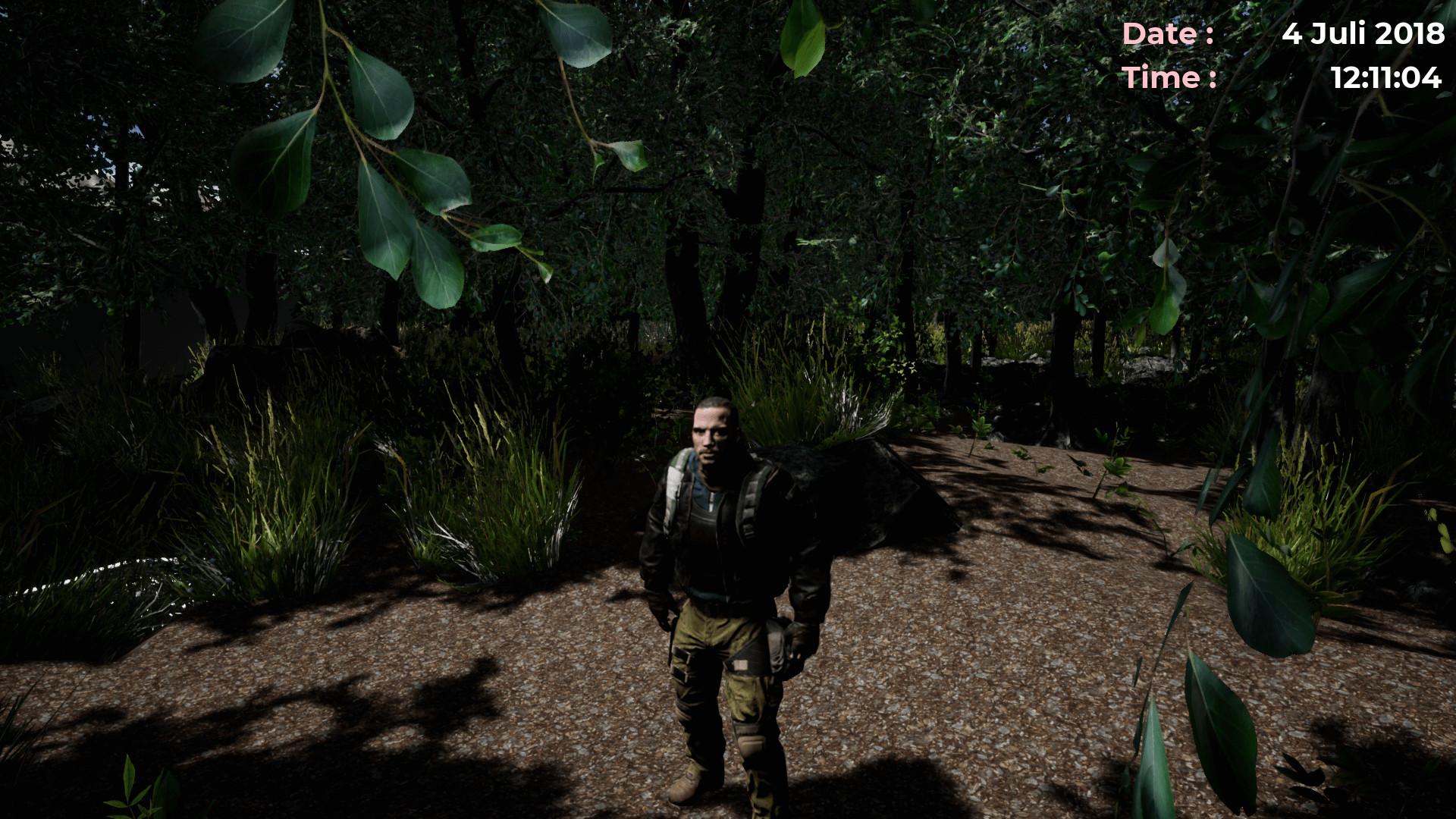 Country Desert Simulator