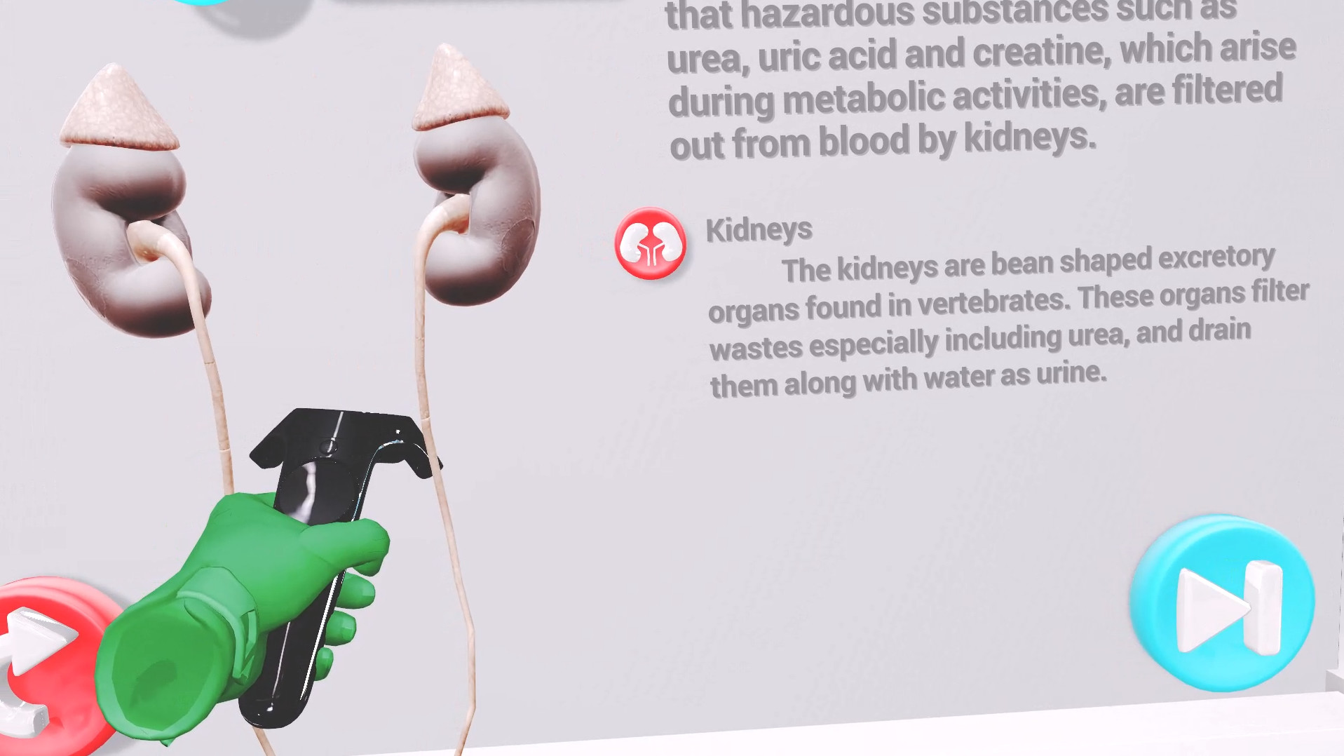 VRLab Academy: Anatomy VR