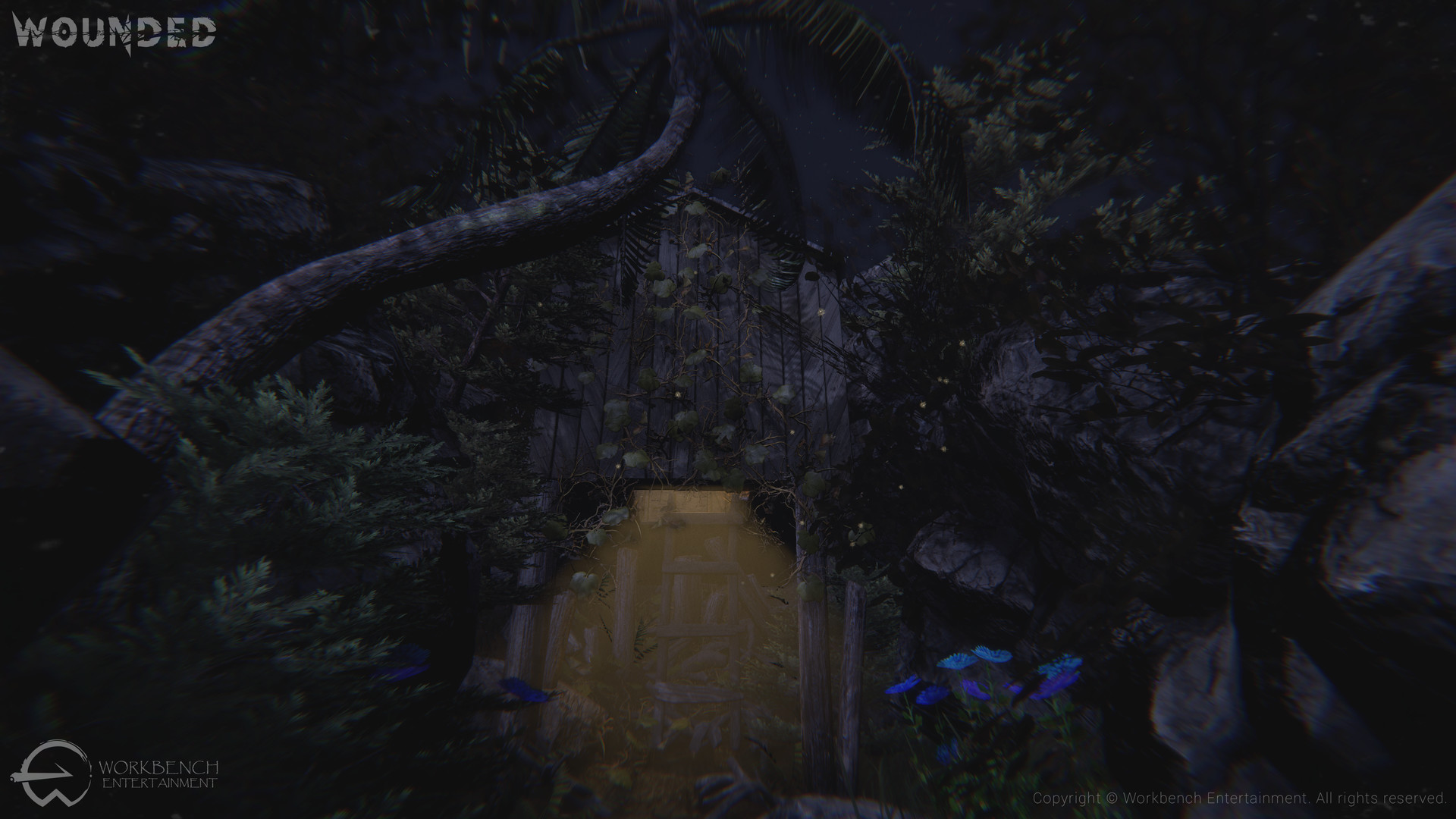 Wounded: The Beginning