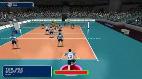 International Volleyball 2009