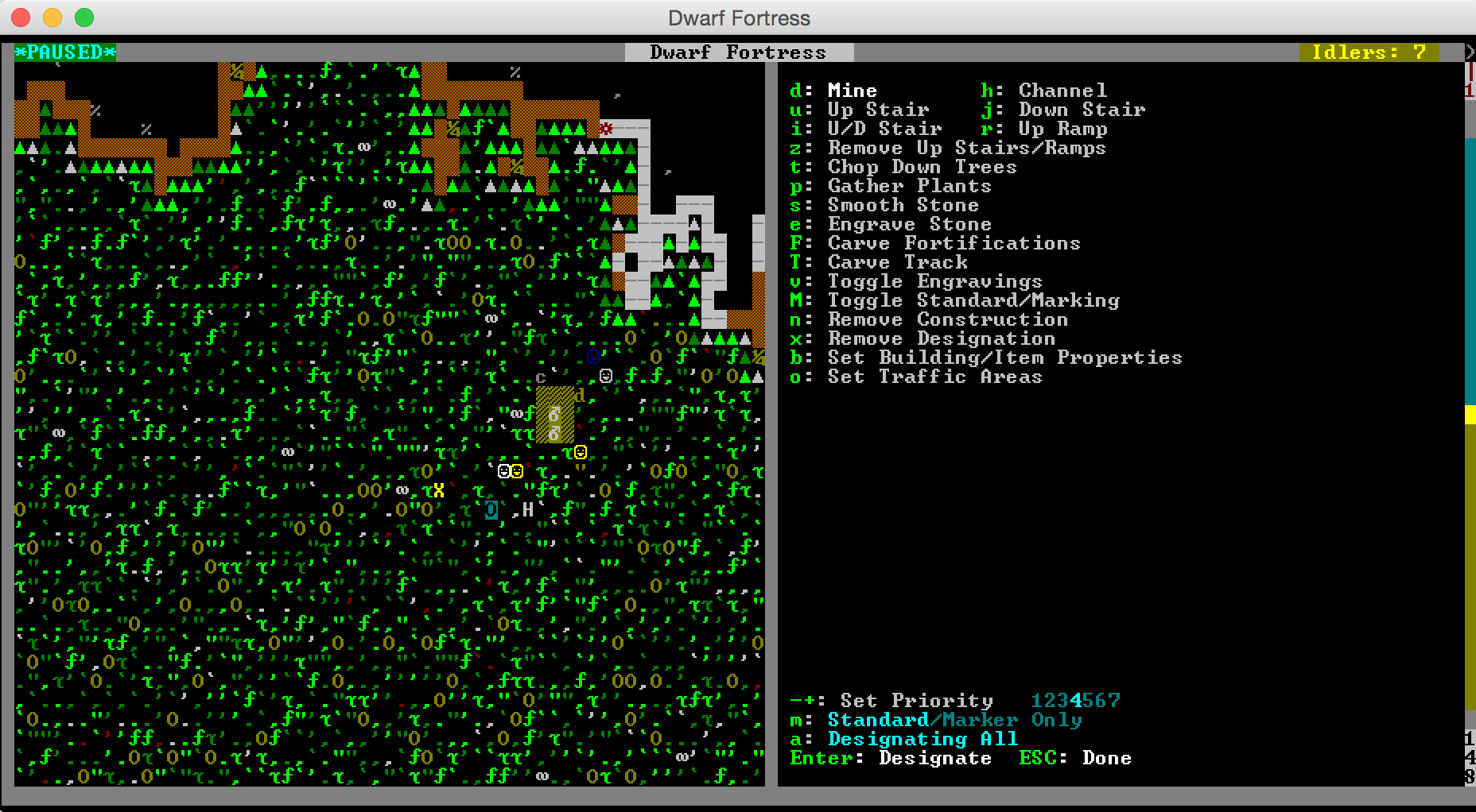 Dwarf Fortress
