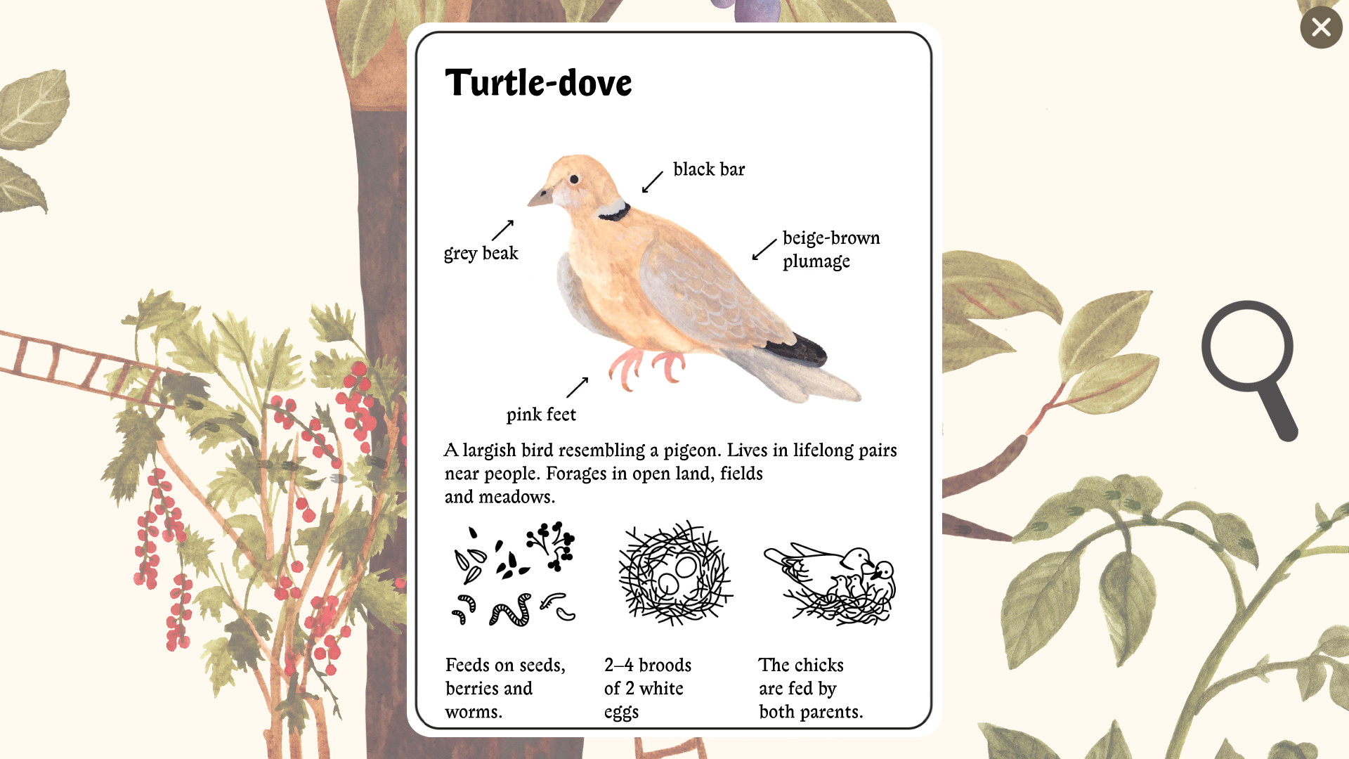 Little Mouse’s Encyclopedia