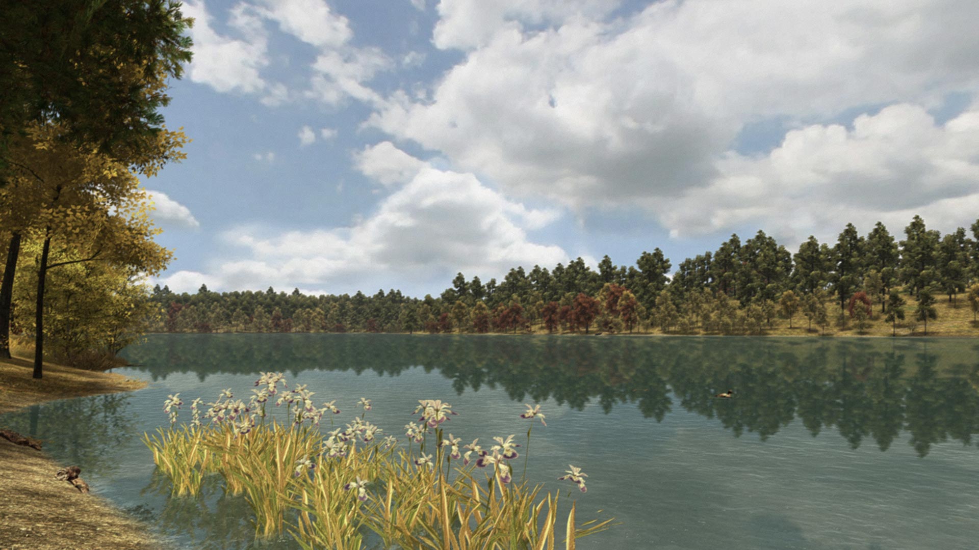 Walden, a game