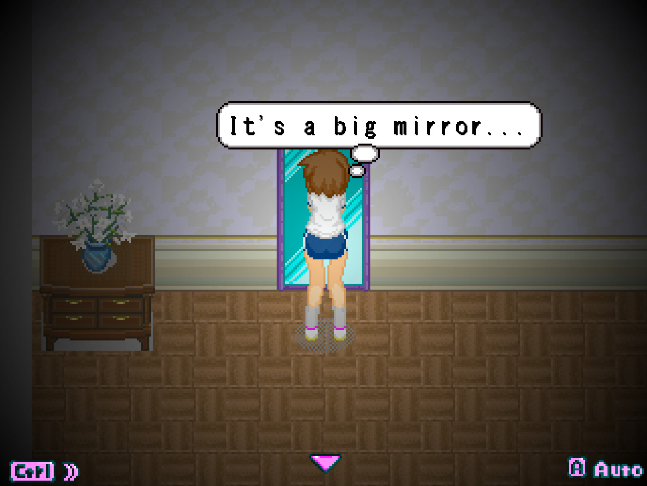 Alternate DiMansion Diary