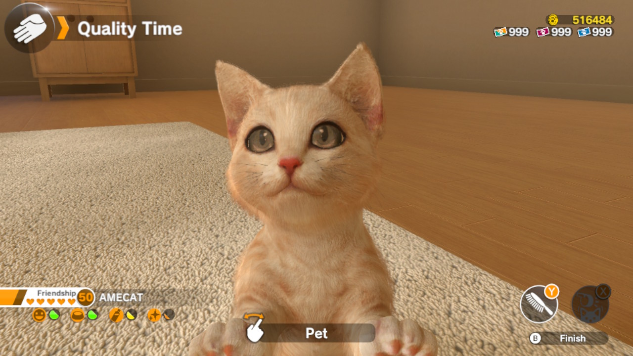 Little Friends: Dogs &amp; Cats