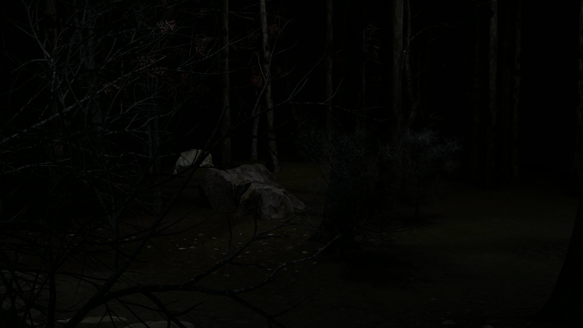 Blood Trail