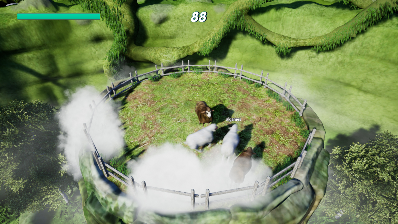 Sheep Collision