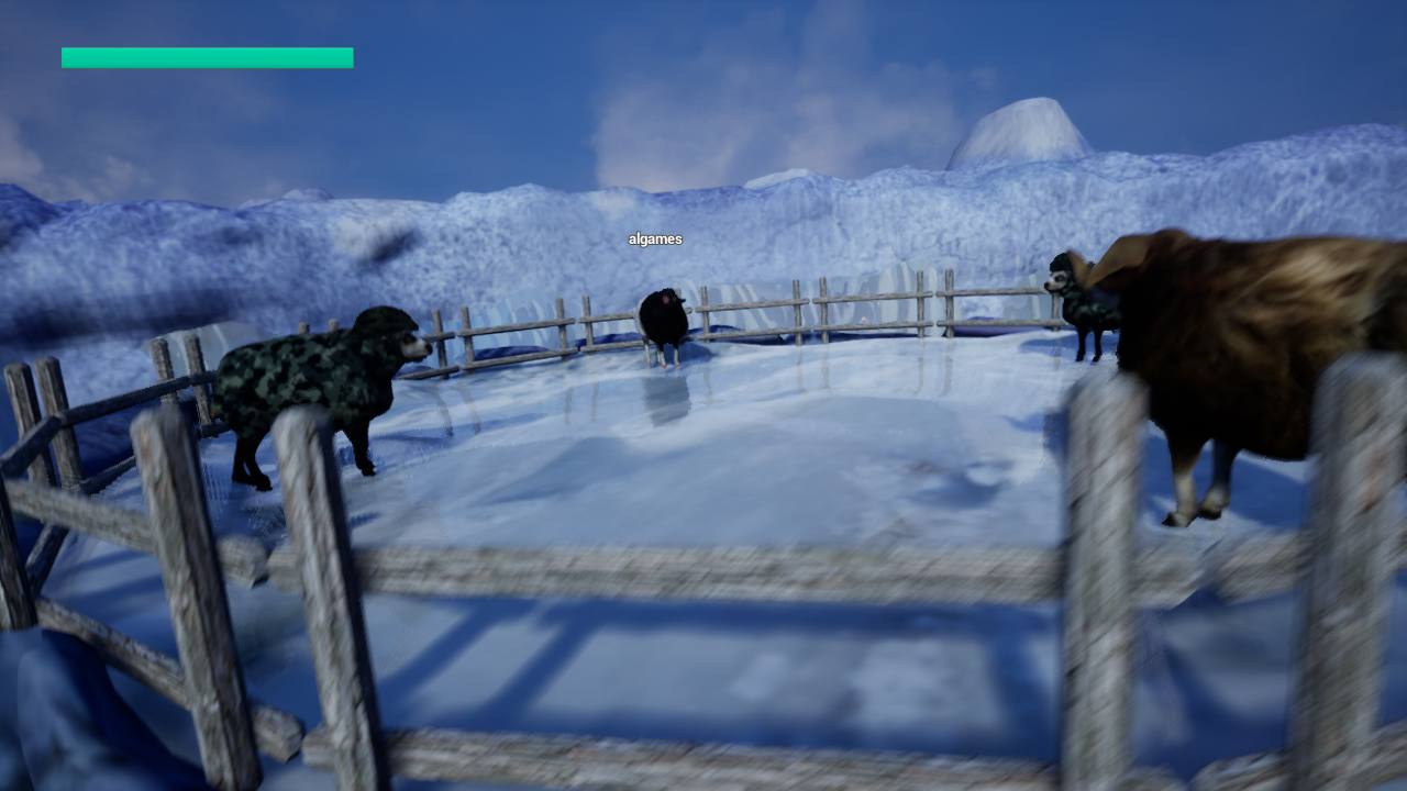 Sheep Collision