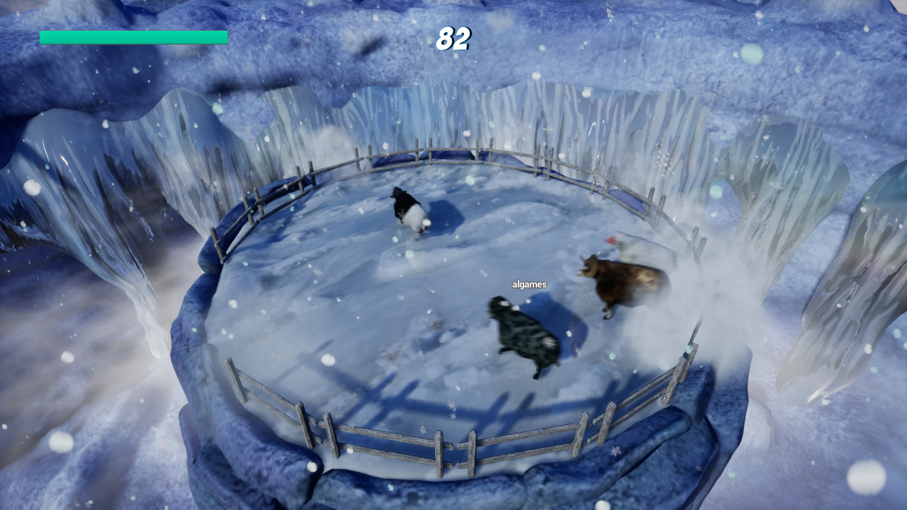 Sheep Collision