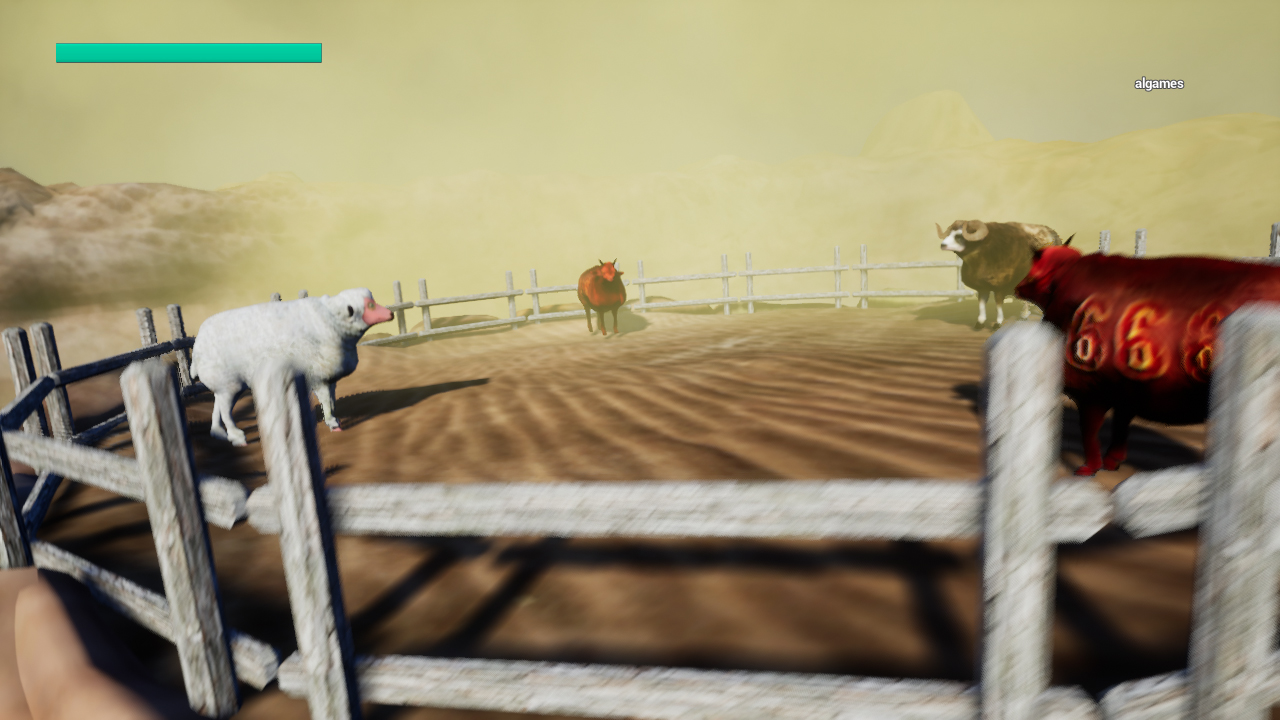 Sheep Collision