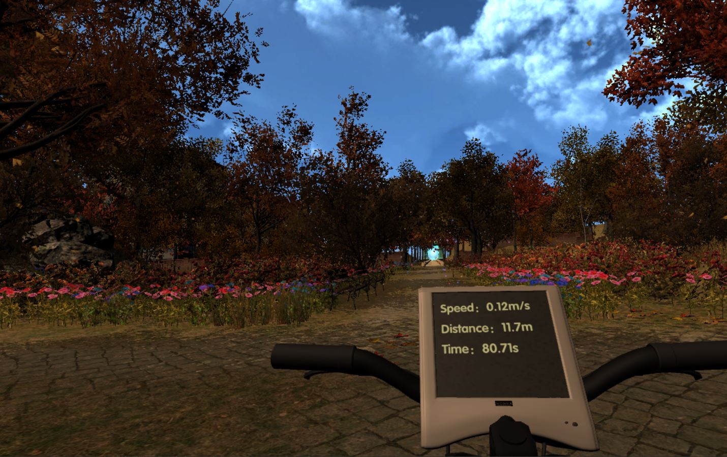 VR Sport and Cycling